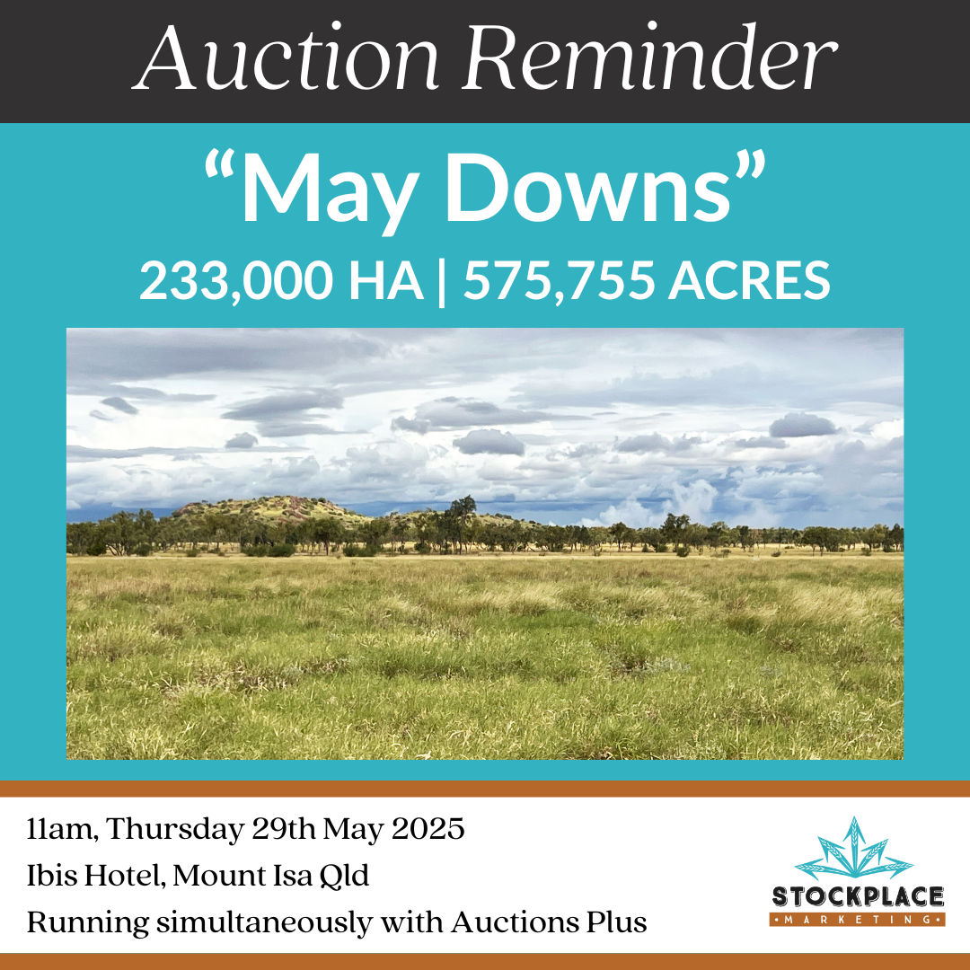 Auction Reminder May Downs