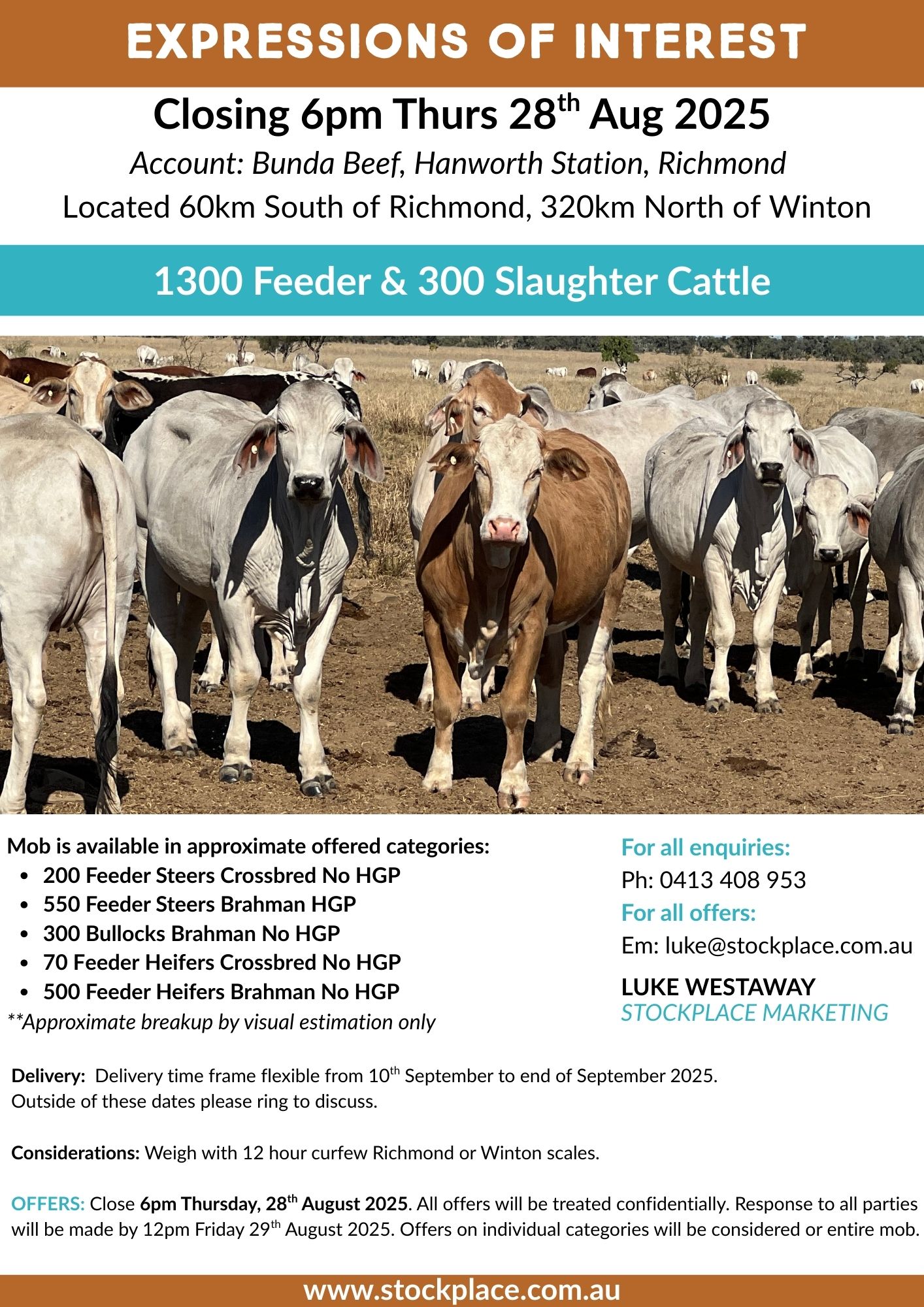 EOI 1300 Feeder 300 Slaughter Cattle