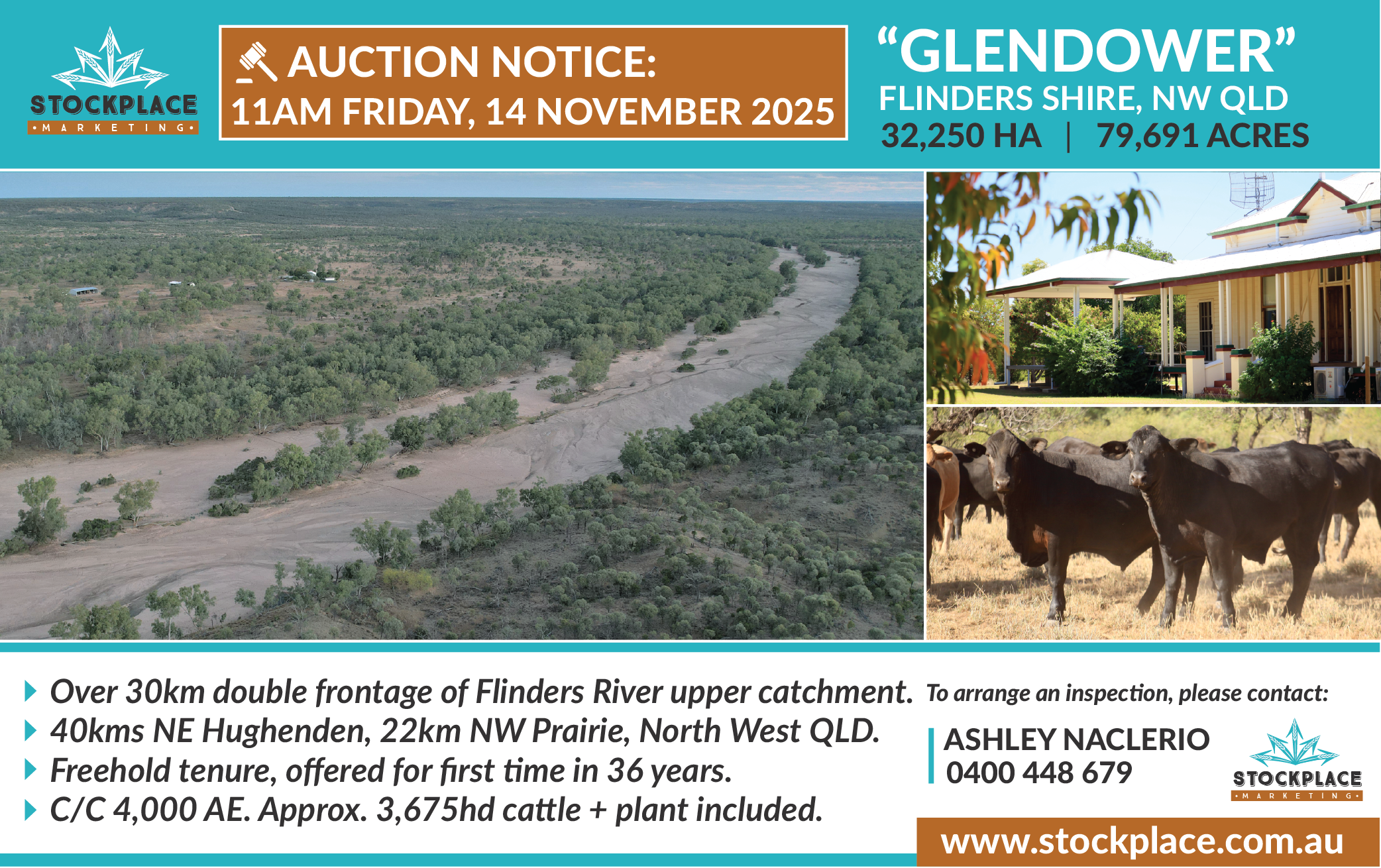 Glendower Digital Banner 01