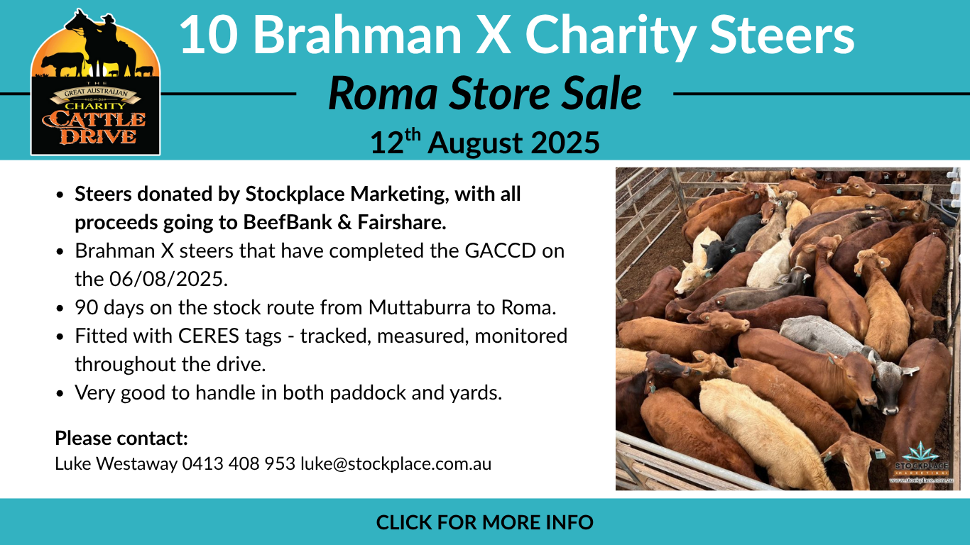 Roma Store Sale