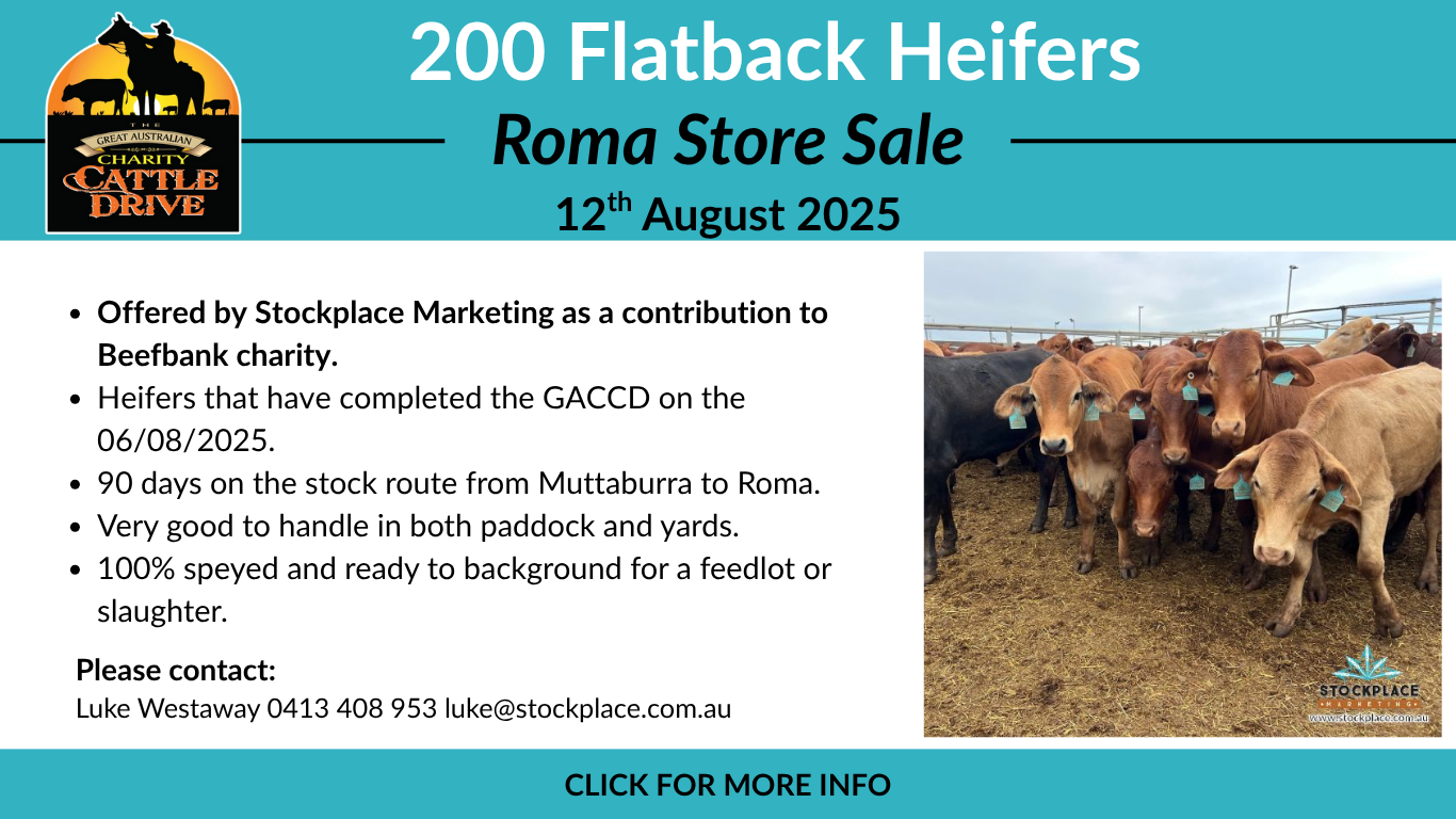 Roma Store Sale 2