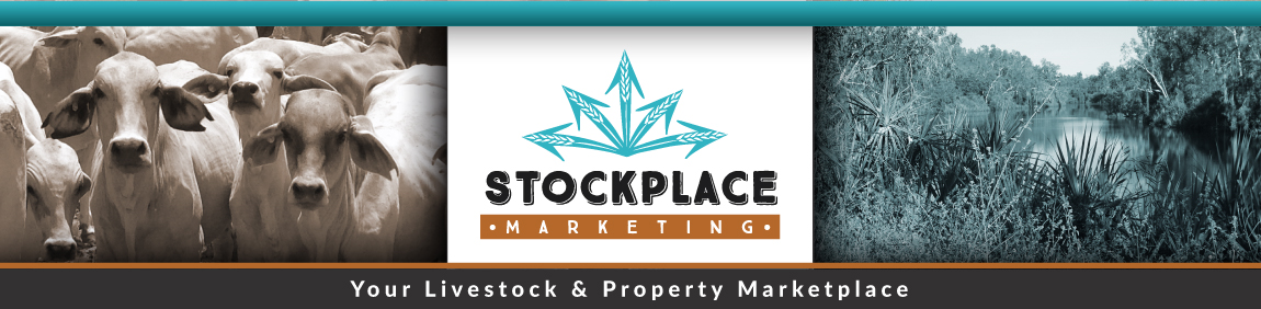 Register now with Stockplace Marketing