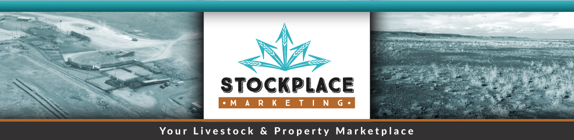 Welcome to Stockplace Marketing Livestock and Property Marketplace
