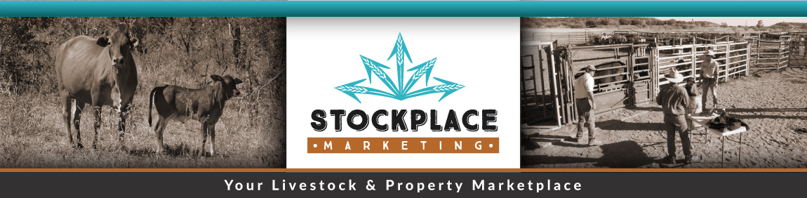 Become a member of Stockplace Marketing Stock & Property agents